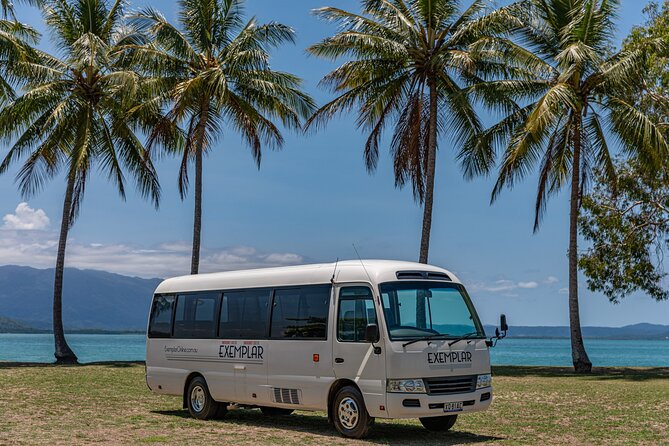Airport Transfers between Cairns Airport and Palm Cove - Finding the desk at Cairns Domestic Terminal
