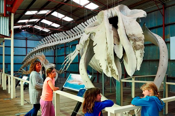 Albany's Historic Whaling Station Admission Ticket - Why Albany’s Whaling Station Matters