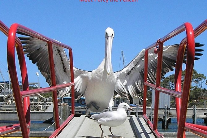 Albany Wildlife and Scenic Cruise - Setting out from Emu Point at 9:00 a.m.