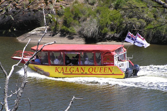 Albany Wildlife and Scenic Cruise - Following the Kalgan River by boat