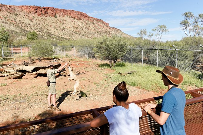Alice Springs Desert Park General Entry Ticket - The free-flying bird show at the outdoor amphitheater