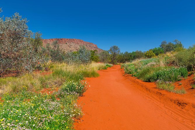 Alice Springs Desert Park General Entry Ticket - Arrernte stories and practical desert knowledge
