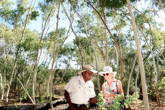 Alice Springs Desert Park General Entry Ticket - The Nocturnal House and Central Australias night shift