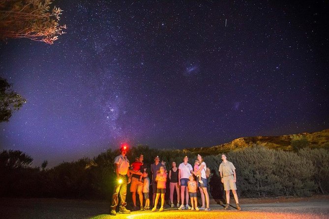 Alice Springs Desert Park Nocturnal Tour - Why the desert is better after dark