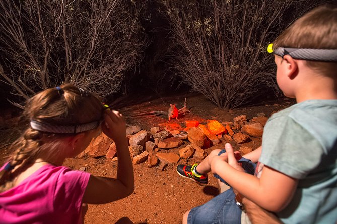 Alice Springs Desert Park Nocturnal Tour - Is $263 a fair price?
