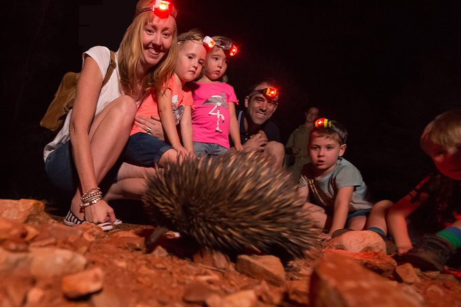 Alice Springs Desert Park Nocturnal Tour - Who should book this experience?