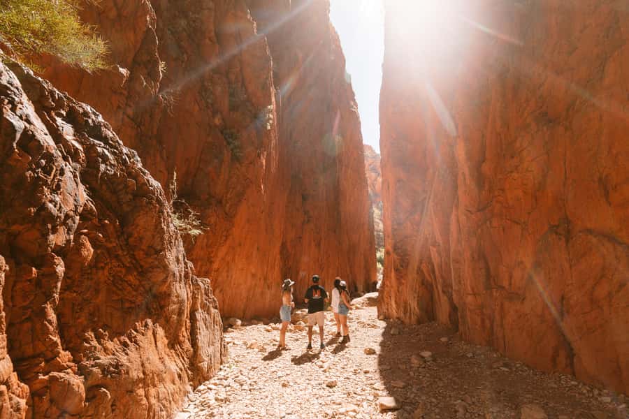 Alice Springs: West MacDonnell Ranges & Standley Chasm Tour - Ellery Creek Big Hole: bring swimwear and a towel