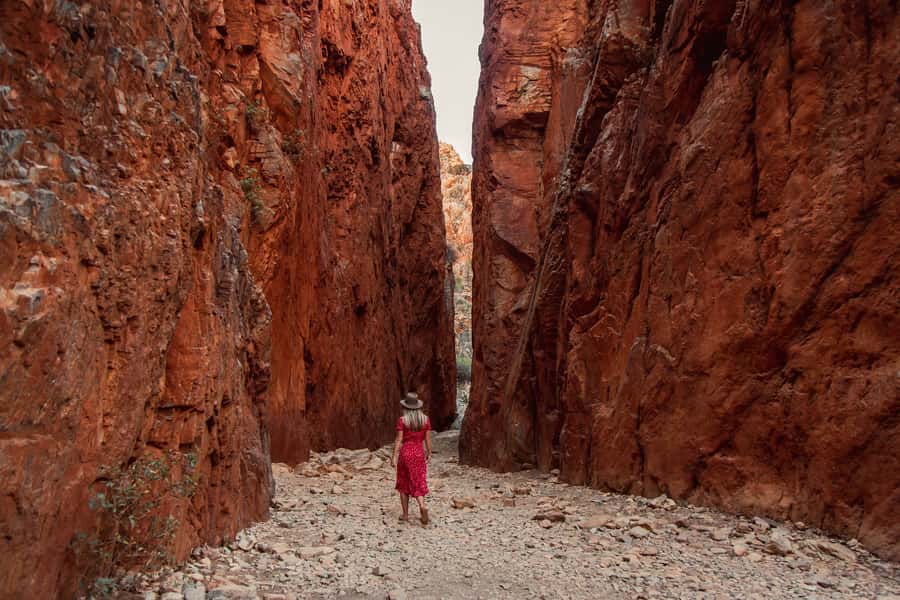 Alice Springs: West MacDonnell Ranges & Standley Chasm Tour - Mount Sonder Lookout: a quick change of scale