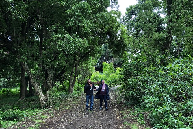 Alices Journeys Walking Tours of Daylesford 2.30pmFRI 11.30amSAT - Daylesford and District Historical Museum