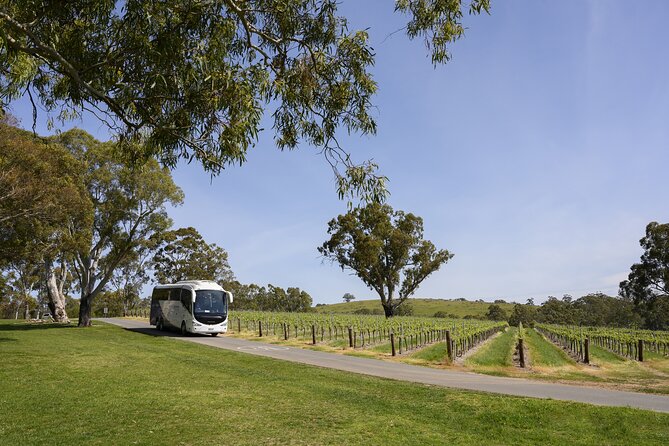 All Inclusive Barossa Valley Food and Wine Tour - A full Barossa day from Adelaide