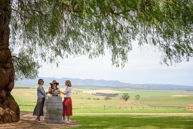 All Inclusive Barossa Valley Food and Wine Tour - Tanunda gives the day a town stop