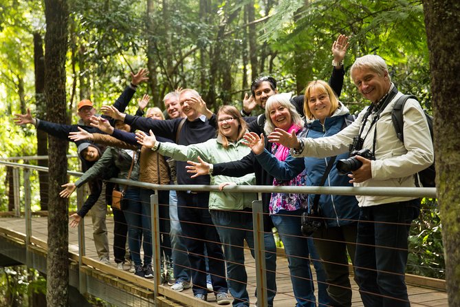 All Inclusive Blue Mountain,Scenic World,Lunch,Koalas,ferry - What this $204.41 day includes