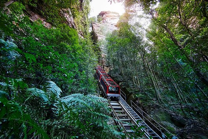 All Inclusive Blue Mountain,Scenic World,Lunch,Koalas,ferry - Scenic World’s railway, Skyway, and Cableway