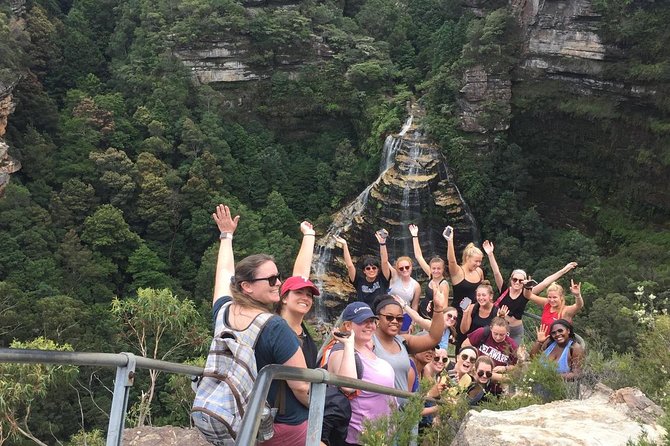 All Inclusive Blue Mountain,Scenic World,Lunch,Koalas,ferry - A sit-down lunch with useful dietary choices