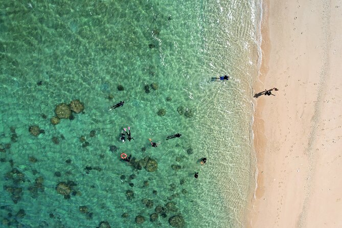 All Inclusive Day Tour to Frankland Islands Great Barrier Reef - The semi-submarine ride for a dry view of the reef