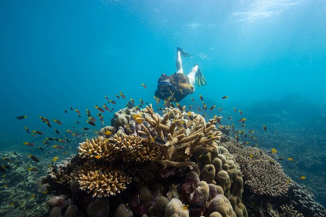 All Inclusive Day Tour to Frankland Islands Great Barrier Reef - A surprisingly useful lunch stop