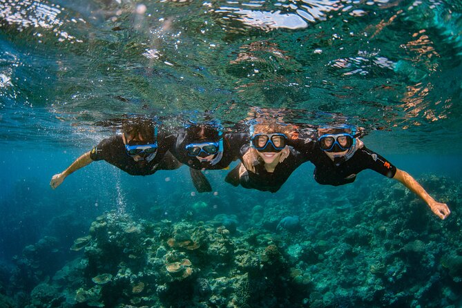 All Inclusive Great Barrier Reef Cruise w optional Scuba Diving - Who will get the most from this reef cruise?