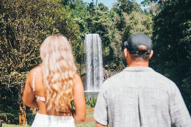 All Inclusive Waterfalls and Rainforest Tour from Cairns - Why this Cairns day trip covers so much ground