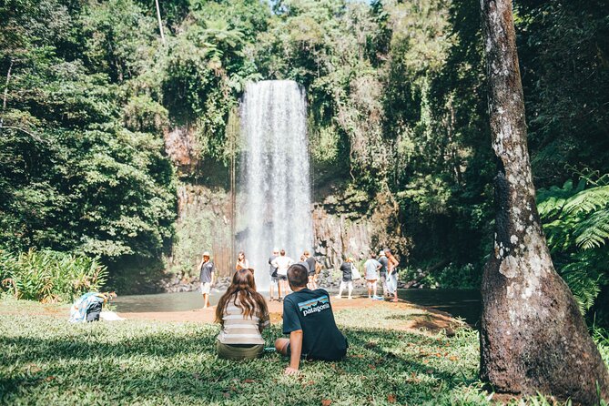 All Inclusive Waterfalls and Rainforest Tour from Cairns - Millaa Millaa Falls is the classic photograph