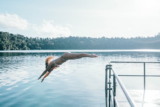 All Inclusive Waterfalls and Rainforest Tour from Cairns - Wildlife watching requires patience and luck
