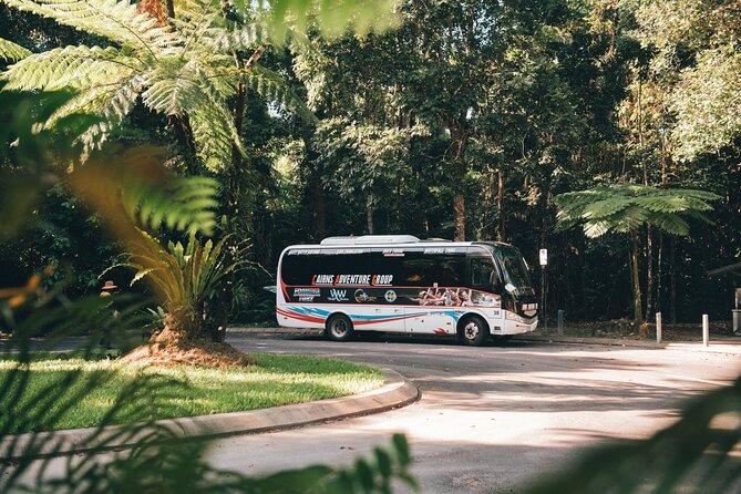 All Inclusive Waterfalls and Rainforest Tour from Cairns - Babinda Boulders combines scenery and local legend