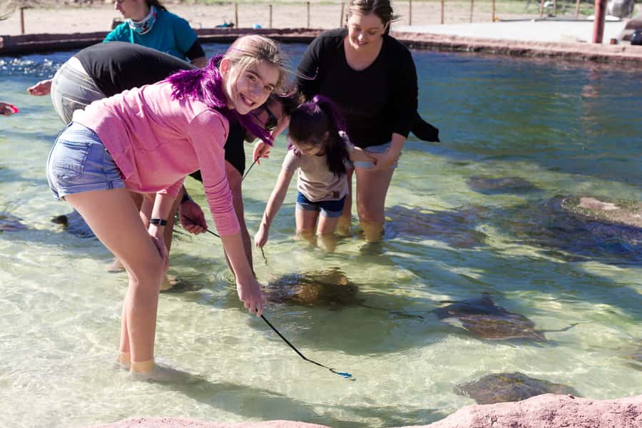 Anna Bay: Irukandji Entry Pass with Shallows Encounter - Key points to know before you go