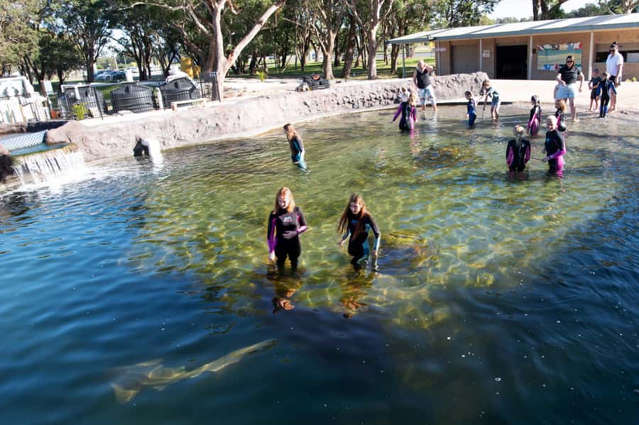 Anna Bay: Irukandji Entry Pass with Shallows Encounter - A family activity with useful lessons