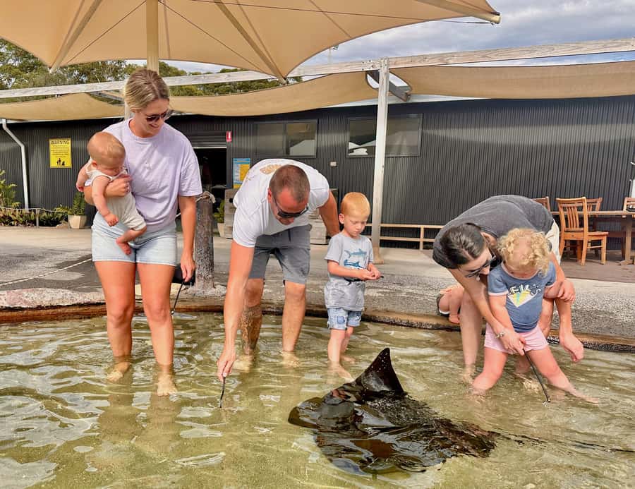 Anna Bay: Irukandji Entry Pass with Shallows Encounter - Fingill Lagoon and the friendly rays
