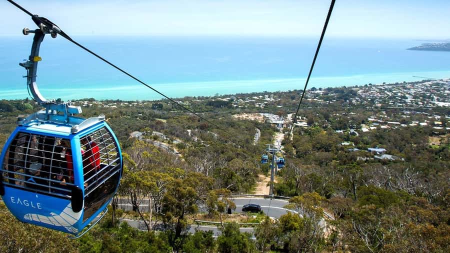 Arthurs Seat Eagle: Scenic Gondola Ride - A quiet ascent above Arthurs Seat State Park