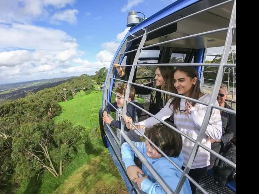Arthurs Seat Eagle: Scenic Gondola Ride - One-way or return: choosing the right ticket