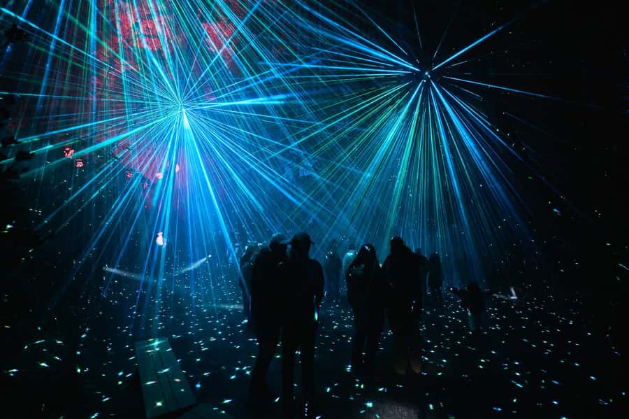 Astra Lumina Entry at Currumbin Wildlife Sanctuary - A cosmic night begins in Currumbin bushland
