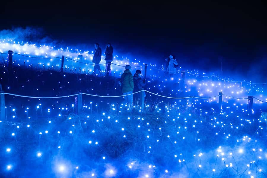 Astra Lumina Entry at Currumbin Wildlife Sanctuary - Food and drinks for the trail