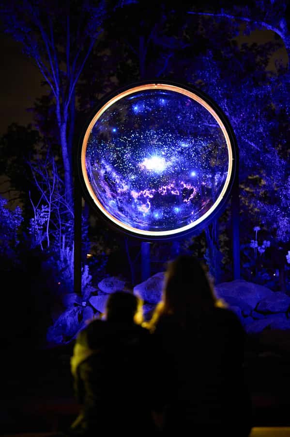 Astra Lumina Entry at Currumbin Wildlife Sanctuary - Who will enjoy Astra Lumina most