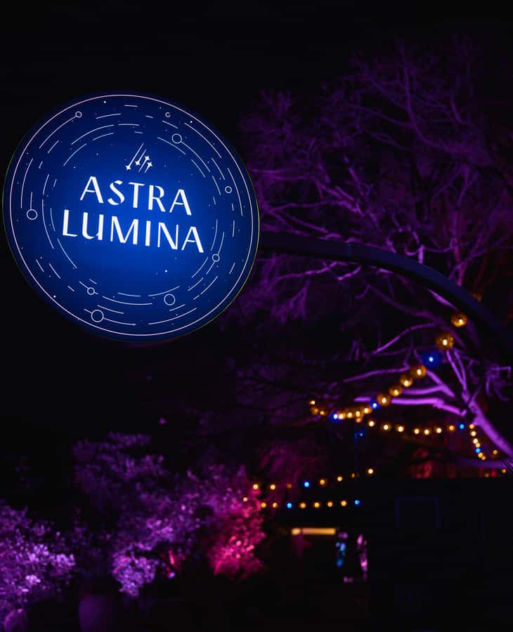Astra Lumina Entry at Currumbin Wildlife Sanctuary - What the sound, smoke, and lighting add
