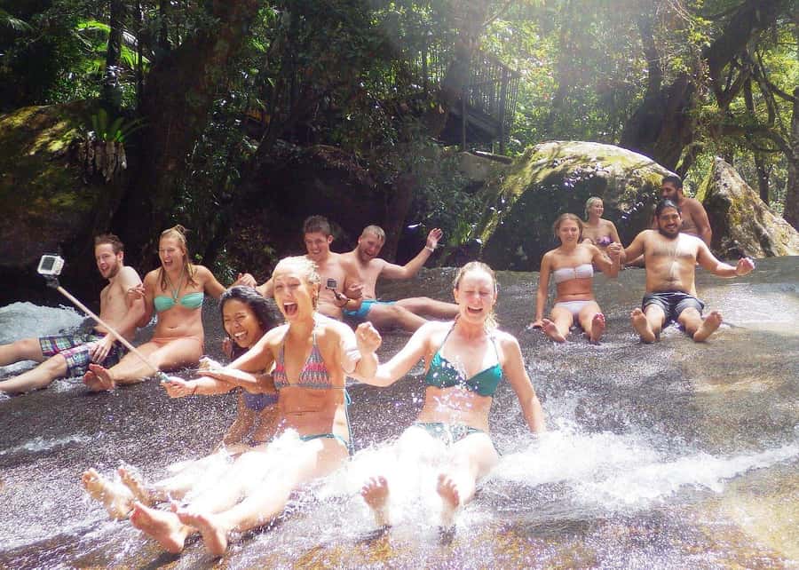 Atherton Tablelands: Lakes, Waterfalls, Rainforest Day Tour - Food, music and the social side of Gus the Bus