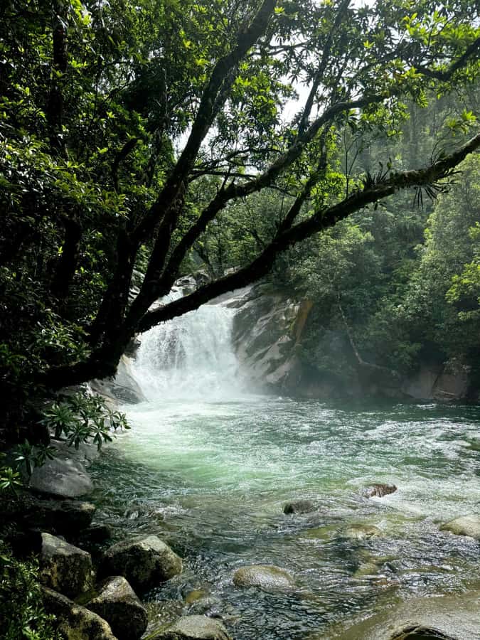 Atherton Tablelands: Lakes, Waterfalls, Rainforest Day Tour - Is $119 good value from Cairns?