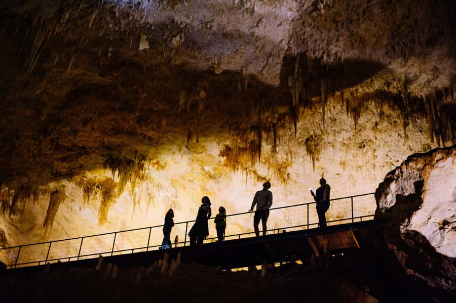 Augusta: Jewel Cave Fully-Guided Tour - The karri forest walk after the cave