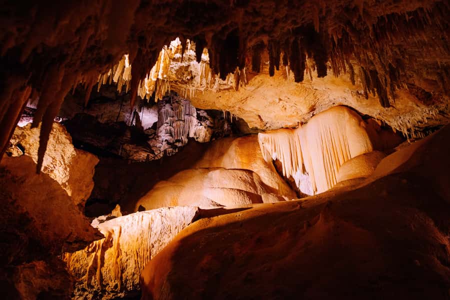 Augusta: Jewel Cave Fully-Guided Tour - Why the fossils make the cave more memorable