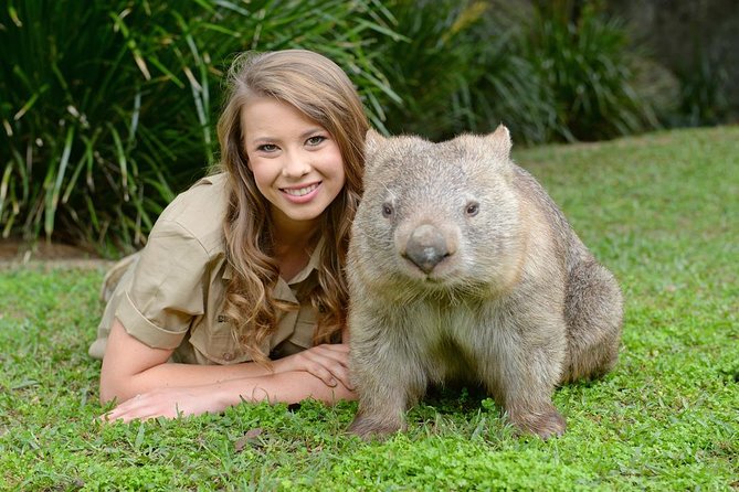 Australia Zoo Day Trip from Brisbane - Why this Brisbane day trip works so well