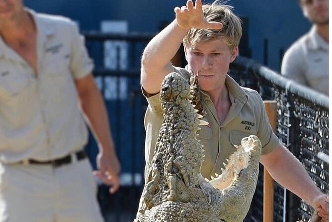 Australia Zoo Day Trip from Brisbane - How to plan your five to six hours