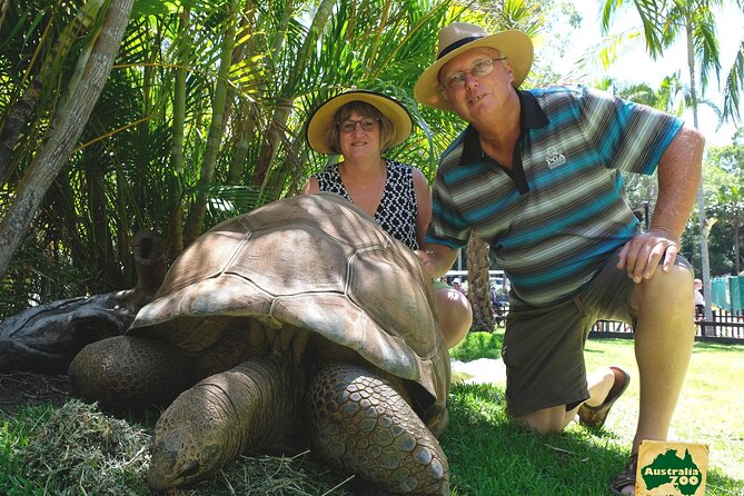 Australia Zoo Day Trip from Brisbane - The Crocoseum and live shows