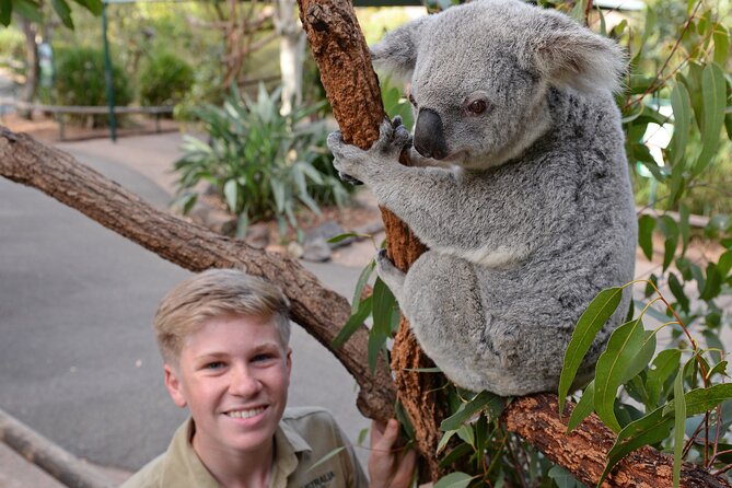 Australia Zoo Day Trip from Brisbane - What the $128.39 price really covers