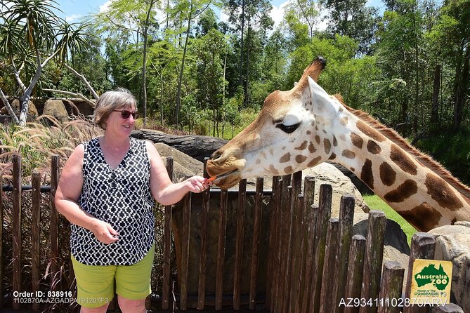 Australia Zoo Day Trip from Brisbane - Who should book this experience