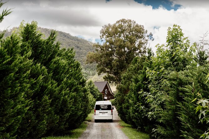 Barefoot Luxury Mount Tamborine Winery Tour from Brisbane - Witches Falls Winery sets the tone
