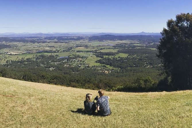 Barefoot Luxury Mount Tamborine Winery Tour from Gold Coast - Why this Mount Tamborine day works so well