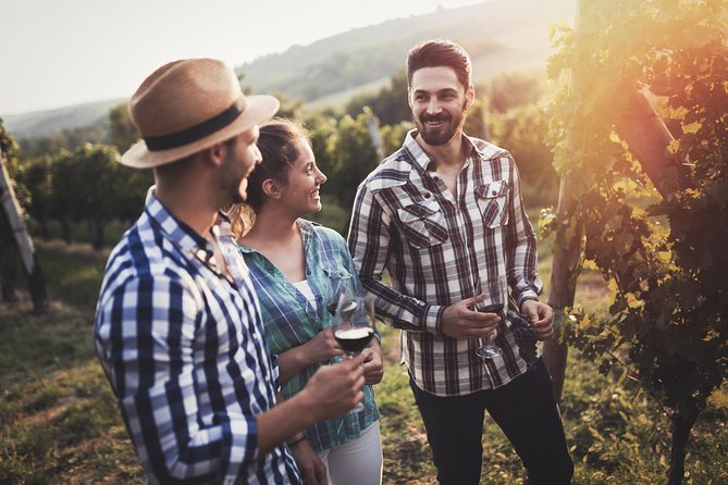 Barefoot Luxury Mount Tamborine Winery Tour from Gold Coast - The national park stop and Gold Coast skyline