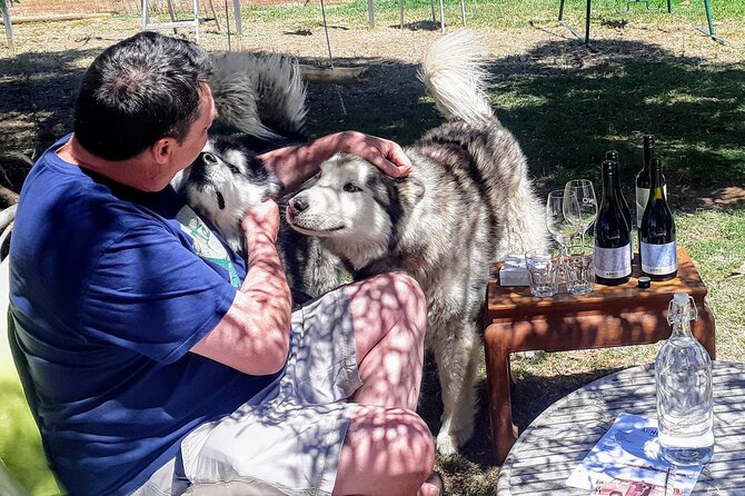 Barossa Private Wine Tour - A six-hour introduction to the Barossa