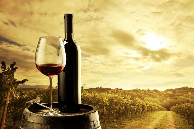 Barossa Valley Cellar Door Small Group Tour - What makes this Barossa tour worth a look