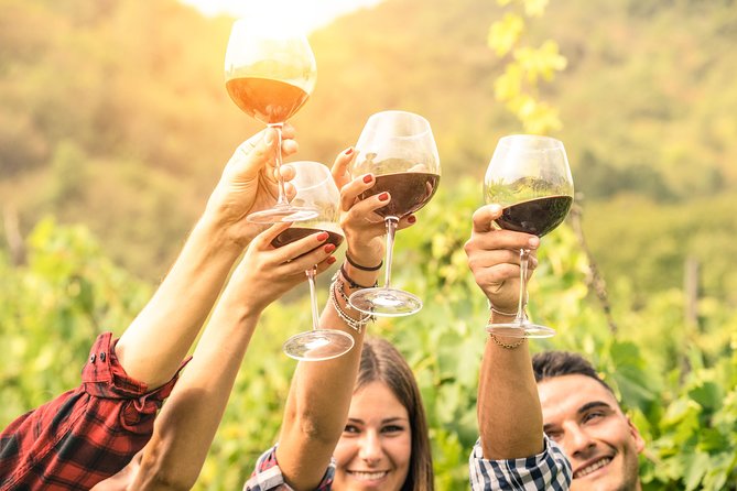 Barossa Valley Cellar Door Small Group Tour - Four wineries, four different Barossa angles