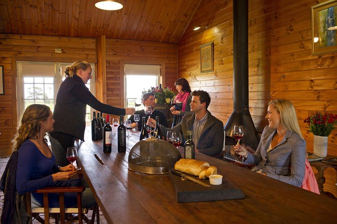 Barossa Valley Hop-On Hop-Off Wine Tour - What the guide adds to the experience